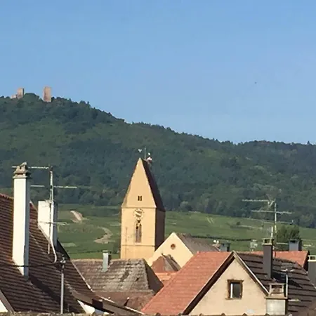 L'auberge Alsacienne Hotell