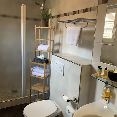 L'auberge Alsacienne 3* إِجويشا