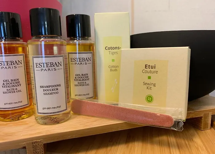 Hotel L'auberge Alsacienne 3*