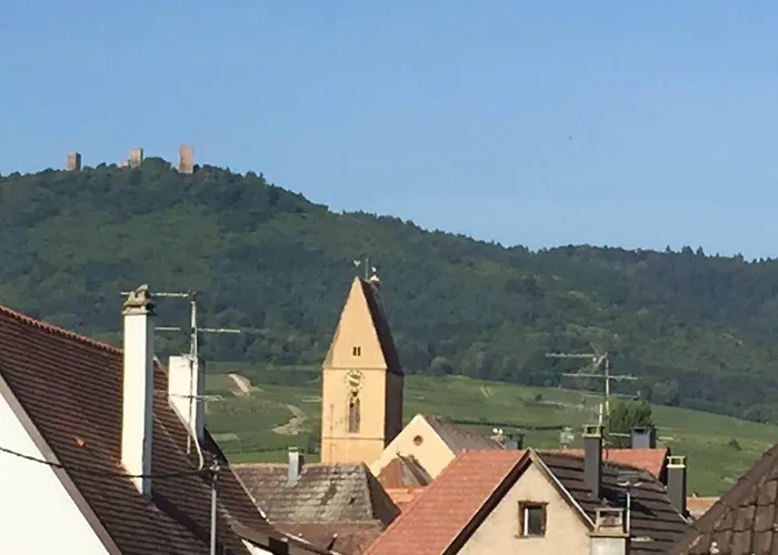 L'auberge Alsacienne מלון