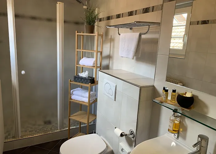 L'auberge Alsacienne 3* אגויסהיים